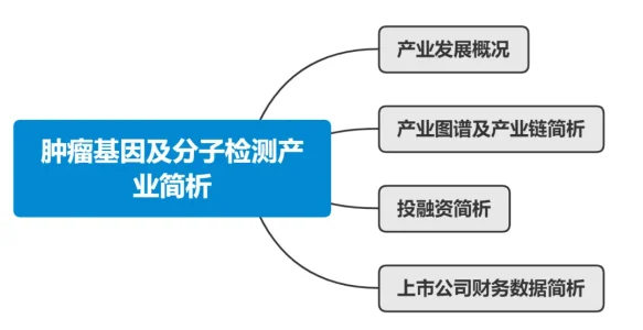 肿瘤基因及分子检测产业简析丨肿瘤蓝皮书连载第六篇
