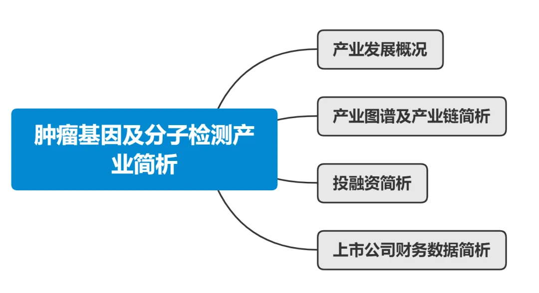 肿瘤基因及分子检测产业简析丨肿瘤蓝皮书连载第六篇