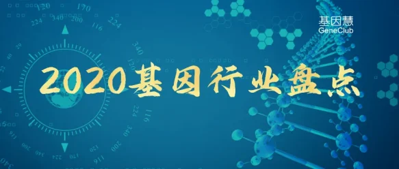 社会担当，有序扩张：2020基因行业盘点及2021展望（上）