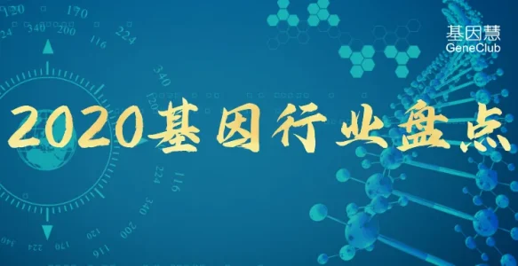 社会担当，有序扩张：2020基因行业盘点及2021展望（上）