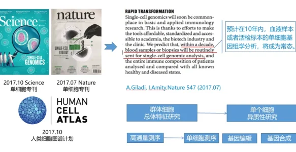 单细胞DNA测序，开启NGS肿瘤单细胞诊断新征程