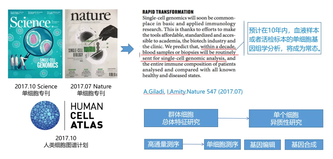 单细胞DNA测序，开启NGS肿瘤单细胞诊断新征程