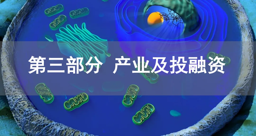 单细胞产业化概况一览丨报告连载尾篇