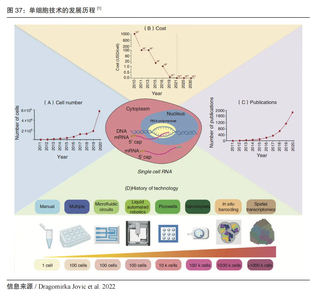 为什么基因科技能够与人工智能并列，作为未来产业？