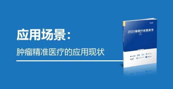 基因科技在肿瘤精准医疗的应用现状 |《2023基因行业蓝皮书》连载（5）