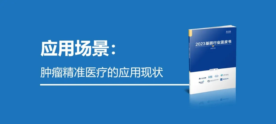 基因科技在肿瘤精准医疗的应用现状 |《2023基因行业蓝皮书》连载（5）
