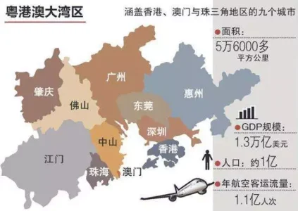 粤港澳大湾区基因产业图谱和重难点简析