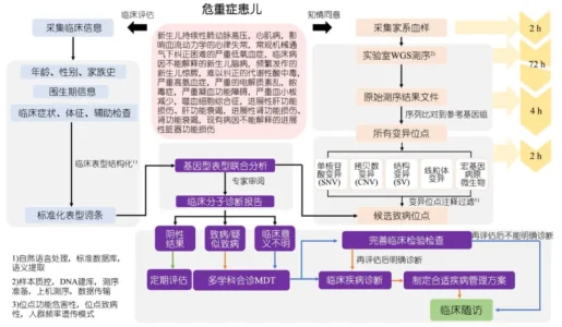 新生儿筛查需求巨大，快速全基因组测序赋能出生缺陷三级防控