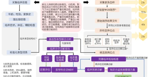 新生儿筛查需求巨大，快速全基因组测序赋能出生缺陷三级防控