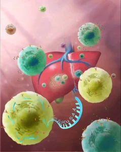 独家专访《Cell》中国学者首次发布大规模肿瘤单细胞水平免疫图谱