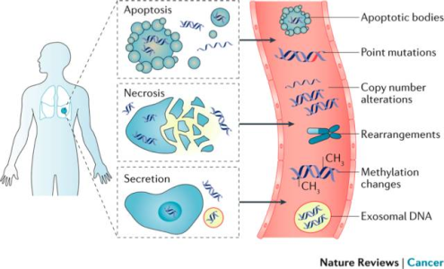 Nature子刊：ctDNA技术贯穿癌症管理全周期