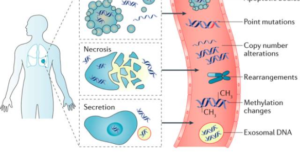 Nature子刊：ctDNA技术贯穿癌症管理全周期
