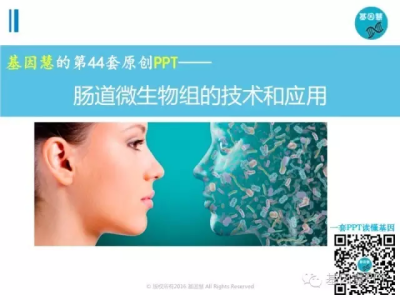人体的第二套基因组：肠道微生物组全面解析