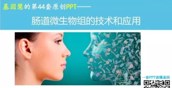 人体的第二套基因组：肠道微生物组全面解析