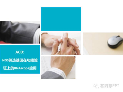 中国高通量测序Cancer Panel标准化体系研讨会PPT精华