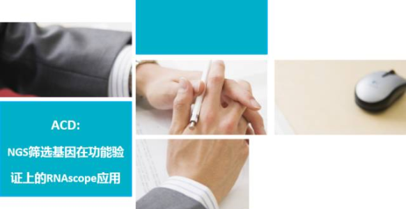 中国高通量测序Cancer Panel标准化体系研讨会PPT精华