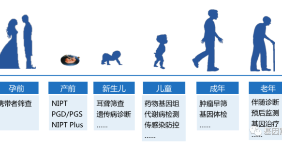 回归核酸检测本质：核心科技攻关及未来产业，正处于发展节点