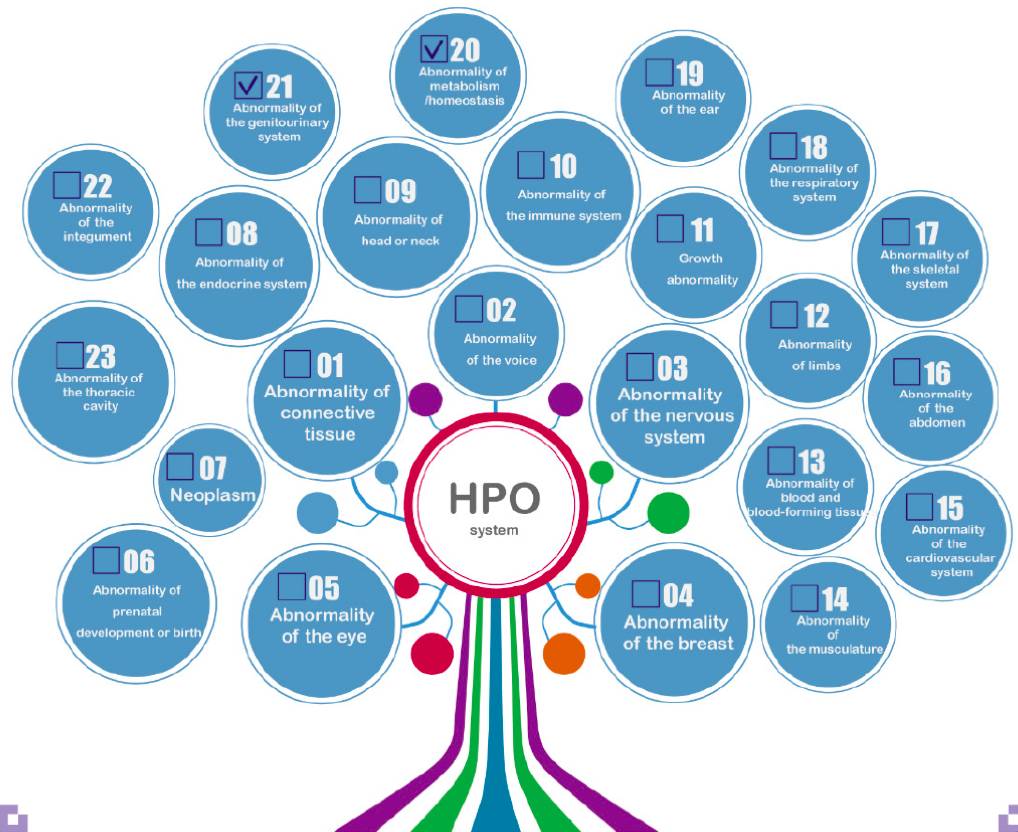 3ThGHpibWkGVSE8zT4PW8WiagrSpNSKkmzibViacPropLRiawIKhSEWdLibSBNLpmGiaiaZYjJkiaSiafVuDm5AQ5CBYBI5g