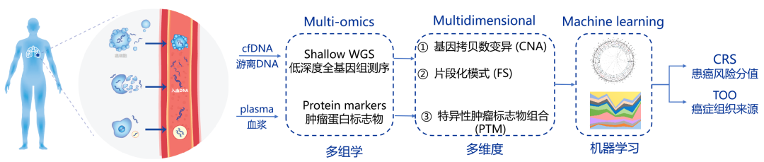 81yfqblUjUNrraXa5SrAIVCoicAfrRTLeIdBKOiazpibtFYXoeRdpjGK0QTHk4Assia5pSmYKwnQO1UEKsz28uC3Ug
