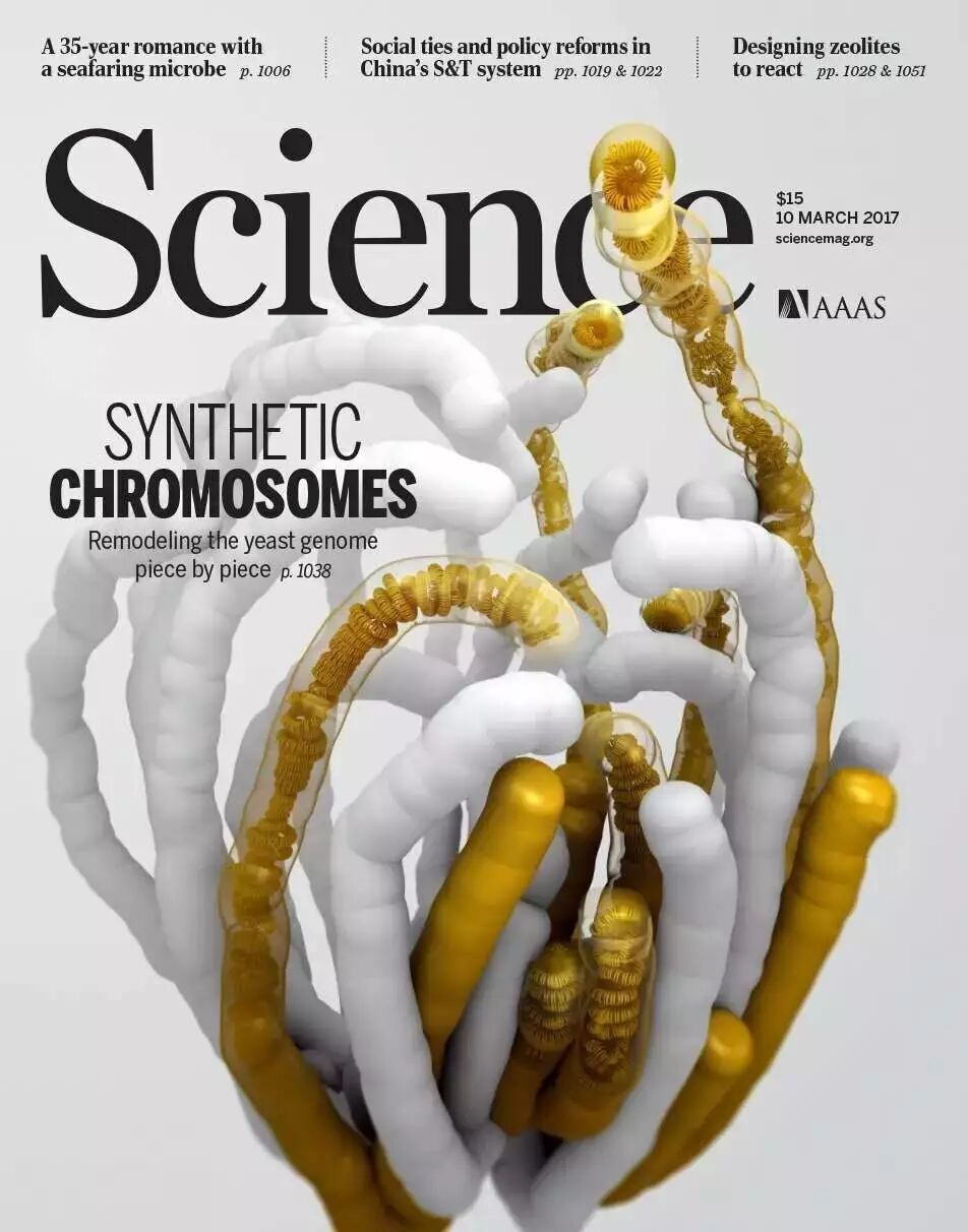 ENH69O0PkXMtqb8OibIiaE7uOVDSibV0YqyR3brUXIoSxUCaicTw6eRpSXkgvKpxQibU949GicksT8TaUibEGI7B4mnBw