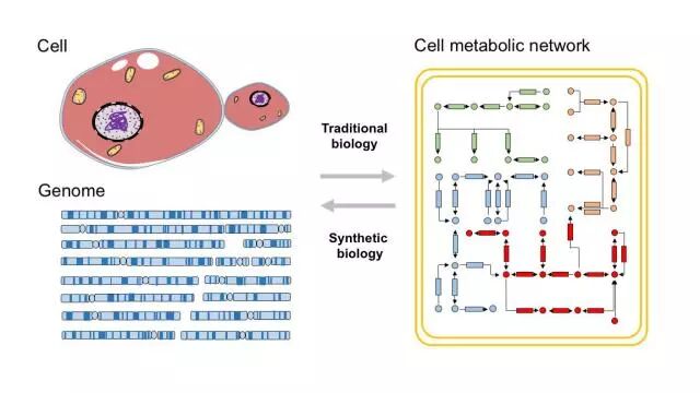 ENH69O0PkXMtqb8OibIiaE7uOVDSibV0YqycnnKMHOsXKu6lFYyEgD9PeBMSytDnbgLkzmRotzOKiaibw6GIthmnTGg