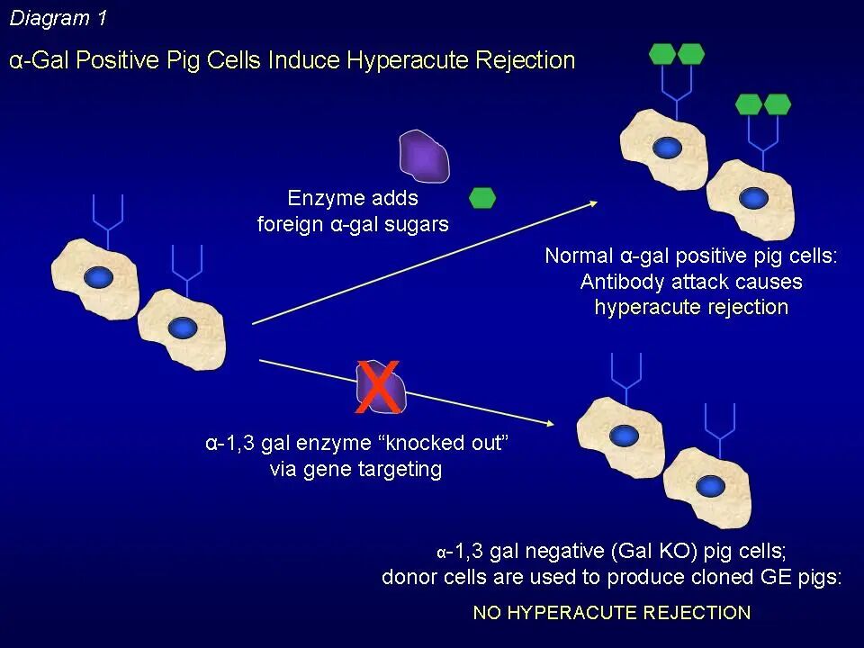 FcLK21Ir4gNVB7licoH9mT87nE8GibKKZuC5H3pJT3KYc8kbfnUtbUpra7xdVgbEia8ib9H0kToyNpPFUlJI7icIV6A