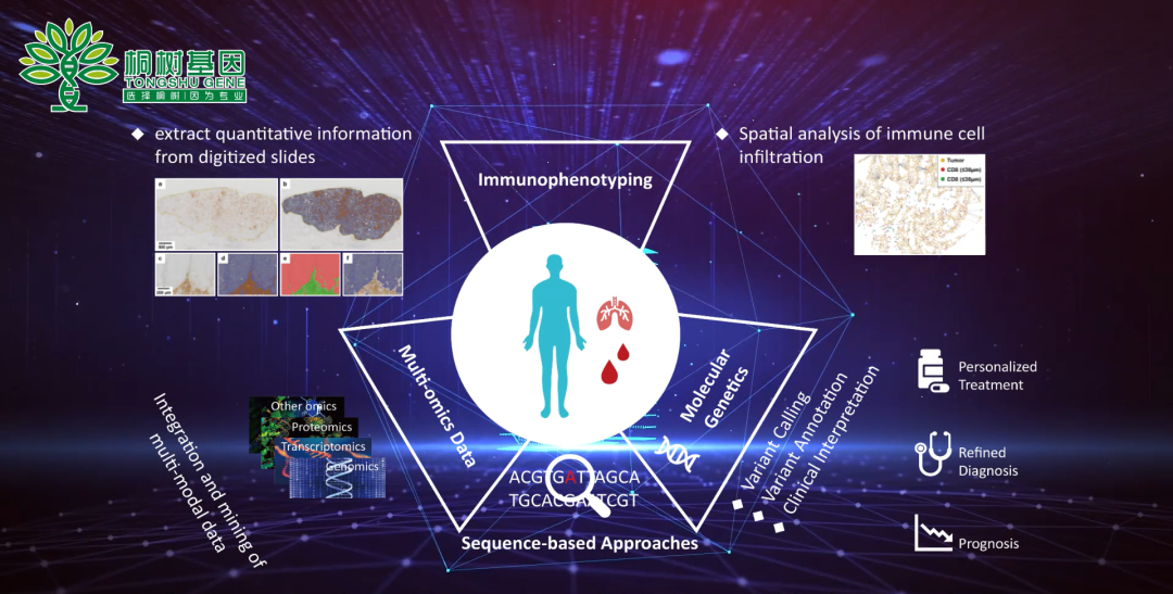KCFsEmAY8vDtwIz9DMqrDETCDFAoTyQQ1oInHOnVyUgJzzYBppYaIHljSf7I7t61M7hUmcM9cUM6Nbm204yDcQ