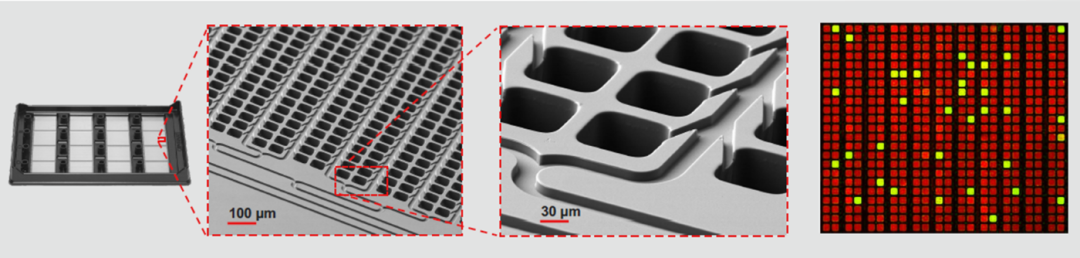 Of3G0JtnqHusqZsa8nj3weB4nKxpHqY1DcedPpTFljkpH3wrNTclNJbWcxU3Wp6M2KZ835uATTsVMr8t8fZmpQ