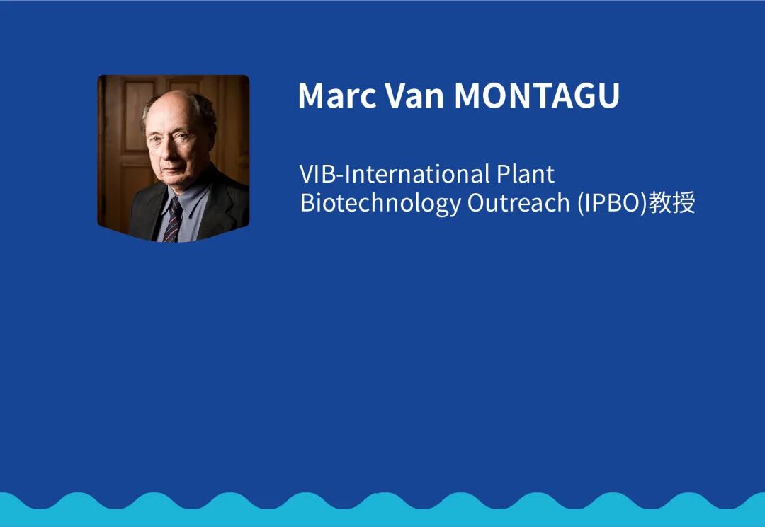 RGYdJhjTzkmJPyM0QkFpQ8jn887icia6NPJuKC6OGKL62G4g8iajQjEjIVWPFTSEiciav5ybRrBJeMTdwicGvJJ3Q3Yw