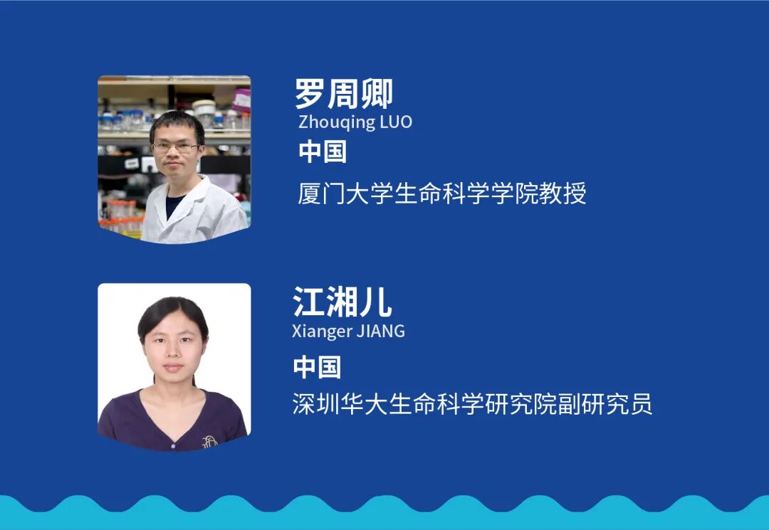 RGYdJhjTzkmJPyM0QkFpQ8jn887icia6NPoytmzp3iabrZPk2VgY97ictzfBuavibJZ3obvk19rHXgft8jWW85HX9yQ