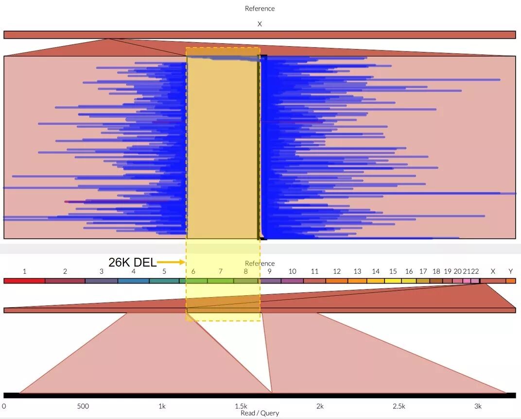 RmFicvQBAkgA0H3icicib1bGSxYY7wy1iaC0F8KaWiauKRl7zO3glmL1PJRyeTntzHy4ovW3stRtDRRZrhc5co9TjwgQ