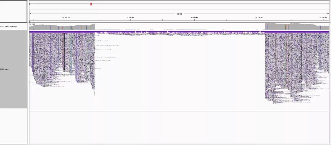 RmFicvQBAkgA0H3icicib1bGSxYY7wy1iaC0FNDKGrxWnzhTHLuwxc4Flx4VtxGANgmvuR06zyRgcgrUvyH9wZvRvcQ