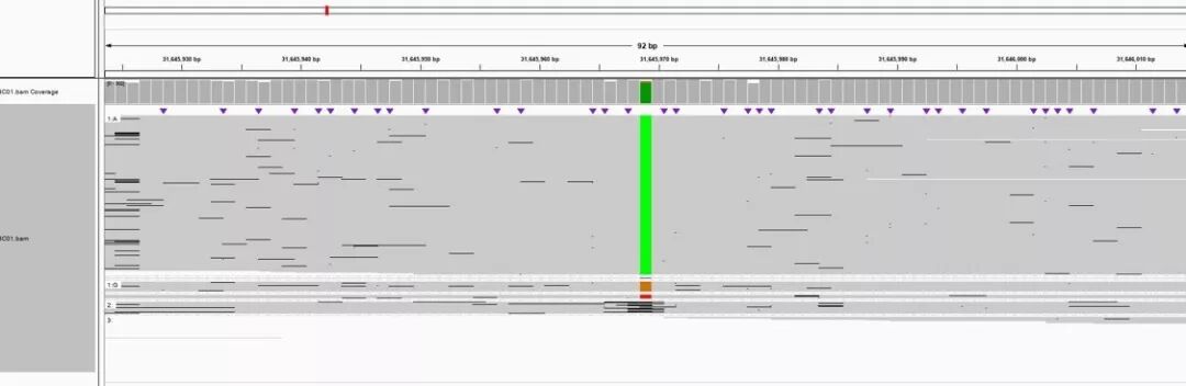 RmFicvQBAkgA0H3icicib1bGSxYY7wy1iaC0FwV7xFvdvN0au4wuWIqn5kQWC5P8JZGeQgDXNGYpoFZIKA63Isibf7Xw