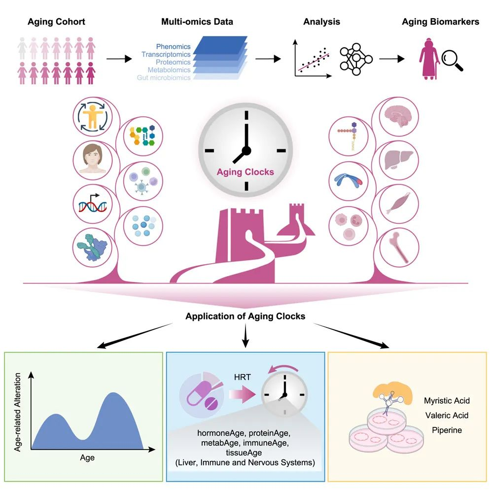 RmFicvQBAkgA2VZHtkr2ZPxSiayC5XWZTM5IGMr1ro6ZKgl9qz7GAWlPB0rlkxJO1z1fiafSUAWJnrz5eWDPHGQPA