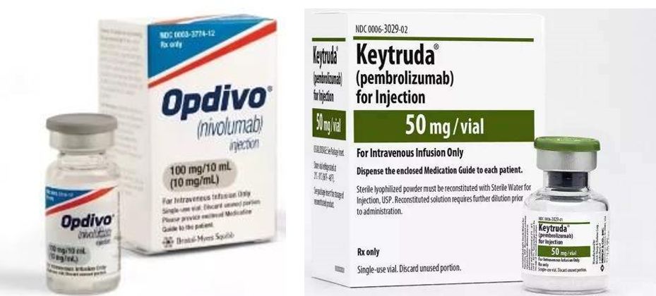 RmFicvQBAkgA2ibafPibGwmMmBSo7ickCudlDgHic2bQNFUtOpGeZnM6UPZVyia1PIpsgMYZOzJCK6SiaPcFm2eSNSKKQ