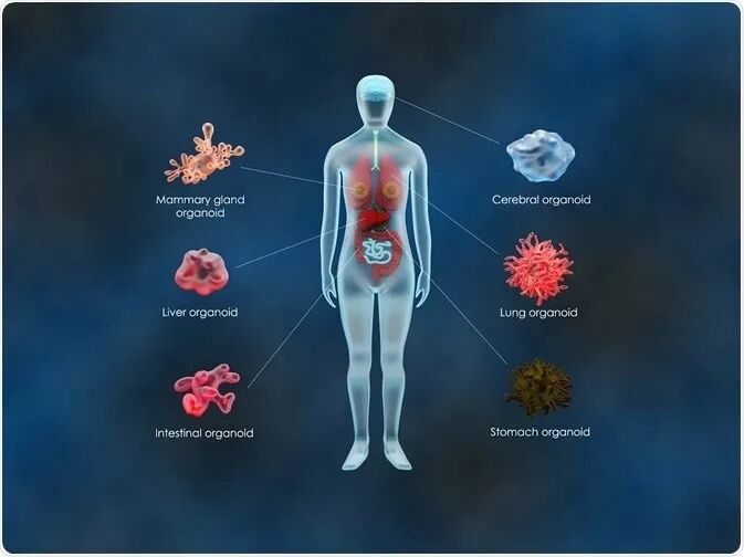 RmFicvQBAkgA4knWYYsw3YhicqlIHTyiaLsUuUNUicJz4fA7pPbXiclViaibiaCsyPfkjxvb1RAWo61wicjzuTbIjlC77NQ