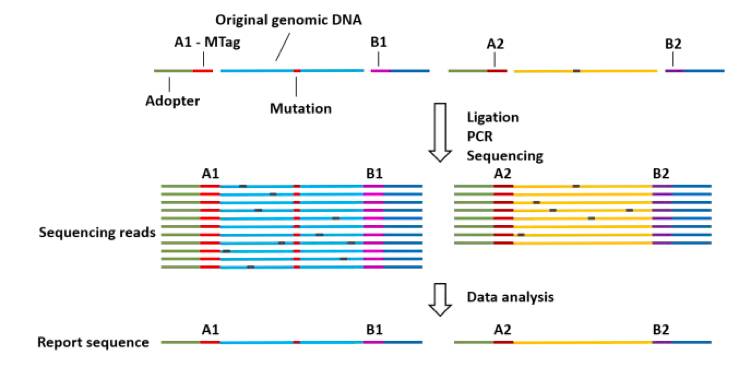 RmFicvQBAkgA7qfZeyzXJXaibDiaJHAiaQQ4kVicWgobw91J66ibWdEDDQamkJ1BiaXQNxwDNh6d5DmK2icwnEggiaY1K4Q