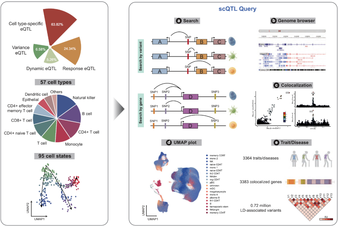 RmFicvQBAkgA7uGMWY1GoBZ6ewbZJY8UXv8aLc5ndia4QAsswDyxIrkGTnHbaBN2vfBDQy0ROianoibW27ndibhfJIA