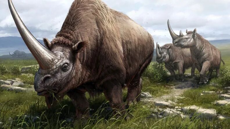 RmFicvQBAkgAG20a7tUENrefEvlSvibkSmVic8tRVgahsrTjNffjw1AruUibvlCqicmLdDLgmeCmDTbZ3PQWZ1G8LOg