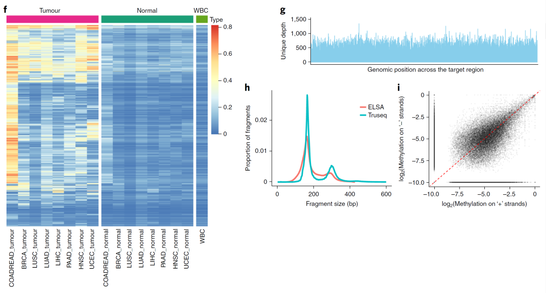 RmFicvQBAkgAI7zuVLElJCianBIglcAOBdZkC7gsPiaJlbYLOgpvYpoq20DiboeLmMZShmq6A6MEYGCKIUstkm3r1w