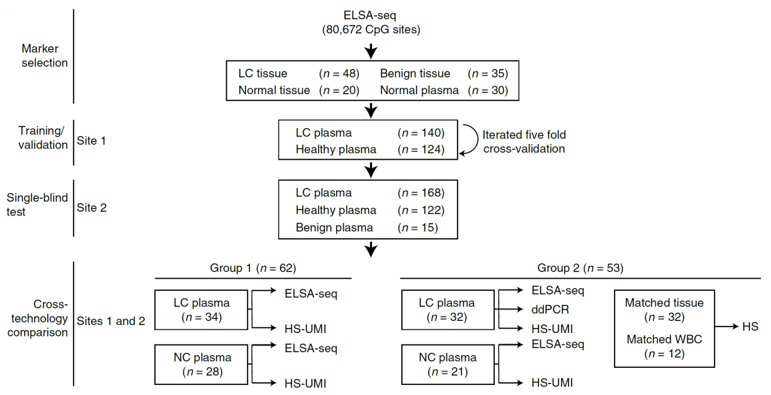 RmFicvQBAkgAI7zuVLElJCianBIglcAOBdZmG4Oqz9fFFqlibnicmnF3uDKyZUjQaHicyffXBA5c6tUSL9Rg4t1u7MQ
