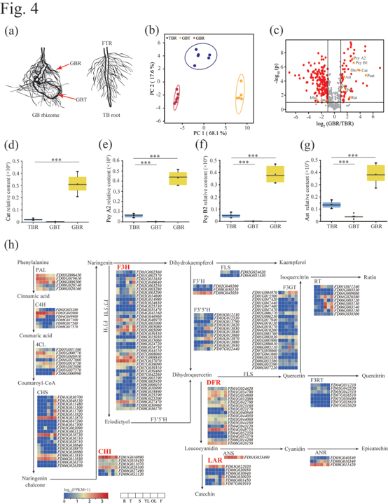 RmFicvQBAkgAIdWwPmRIJYT3RbleGD99CY8u4VTd0viaTEwEv6D86M7xpcY7btxsYibsfycibj51xa66x80D8UDBSQ