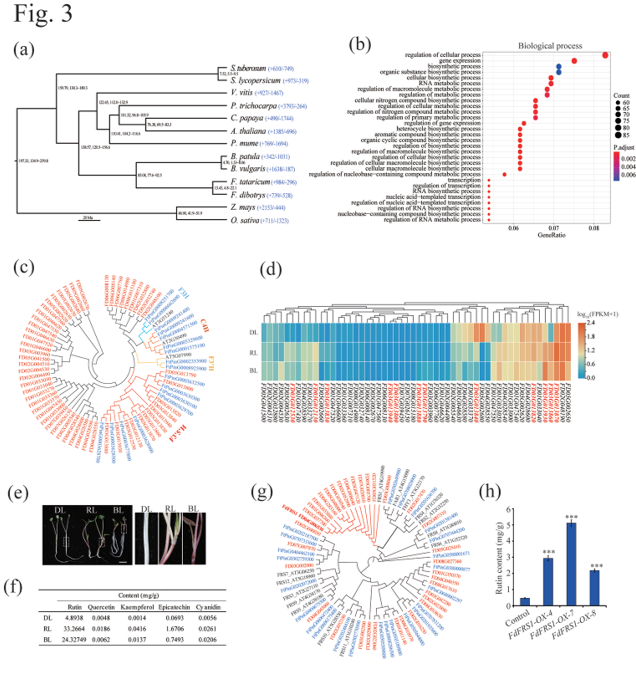 RmFicvQBAkgAIdWwPmRIJYT3RbleGD99Cia4hUOB9bmcCNZOCibU3oXF8eY8CyZcmqhXLSV5tFKmkNYesgOrqB8Pw