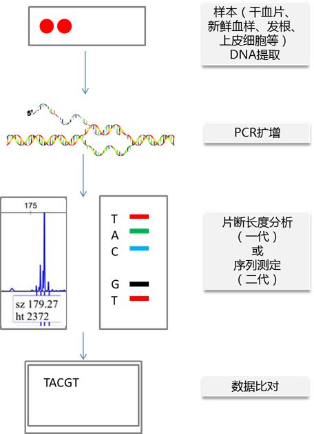 RmFicvQBAkgAJlZS6icvqd5cIjbJH35IKLX1Tw1fTicVJTCeQq2v2R8wKHkQmf4JQm4PCHfIDenS6NhgMaMkVvvHg