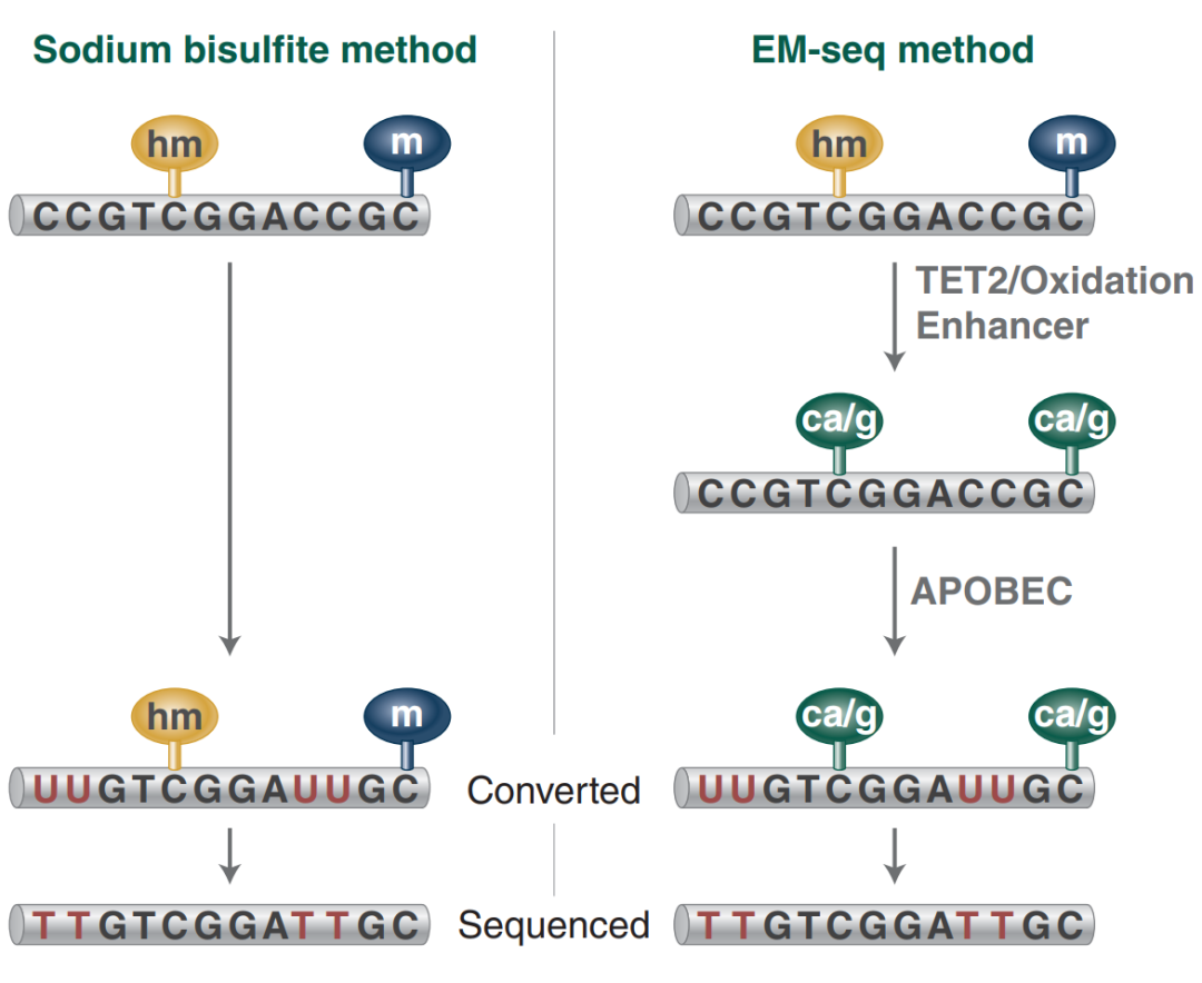 RmFicvQBAkgAQ5R5PiaVYGPl2ALHHggPZNLyAxk64SlQ6DJeJg4dYFQG43pGyQM9OIiaDrON7cdjxicKsft2bopkMA