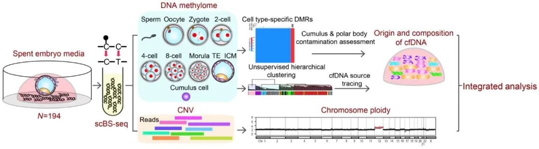 RmFicvQBAkgATPqlTk0xaibSibGticnD5HzKpoGQ5jQM2hFgT7yOAFDwibIDAsMQibqc8OUy3aFULI4QN48WCfJm2icIQ