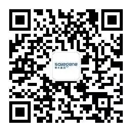 RmFicvQBAkgATo9Aicuof01pibwrQIB6ceT7sb9pjibZxSrDdj2FKJs9fx5FBiczBAiaLVAFoPsePTgPty1oTvhz4ekg