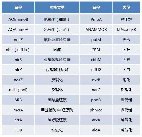 RmFicvQBAkgATobAhJrrrDwA6ZrdCnkn5CcEJ15N2UgOOYpODpAwRoEQK9X1d9Du1DMWtPf8QuibI64KqaDXGOAg