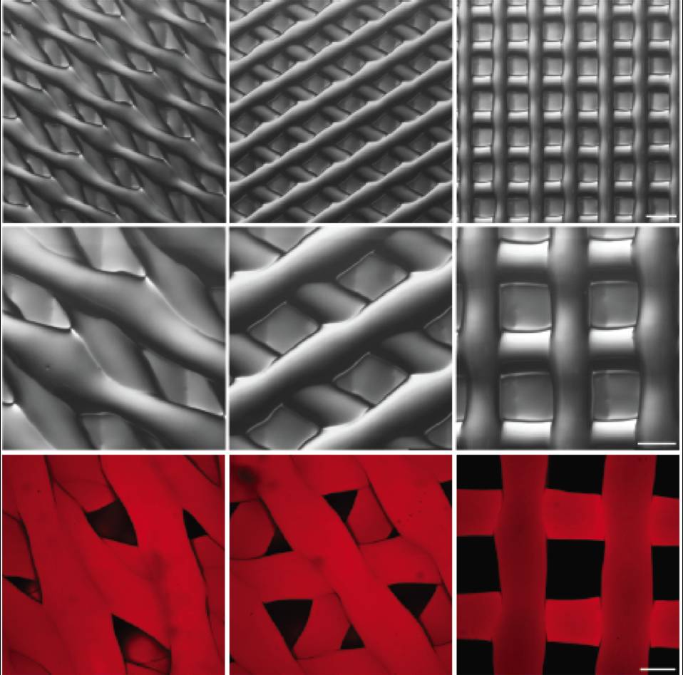 RmFicvQBAkgAiaqYZKxoWdicEkkBPg1vCbdEaxn27MLwLlZmML3SNicQcRicr0elB2qxxusvfKpddJQVobwkpfuB54w