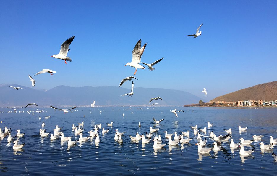 RmFicvQBAkgAkWQnWYtFVK1e3DglUmQ0U4m7gPZqhBTiaLXh9qFkAP3uPGFJE0a3hOicw6kM4eg93ia5ZquVDSWKGg